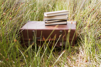 valise livres dessus herbe
